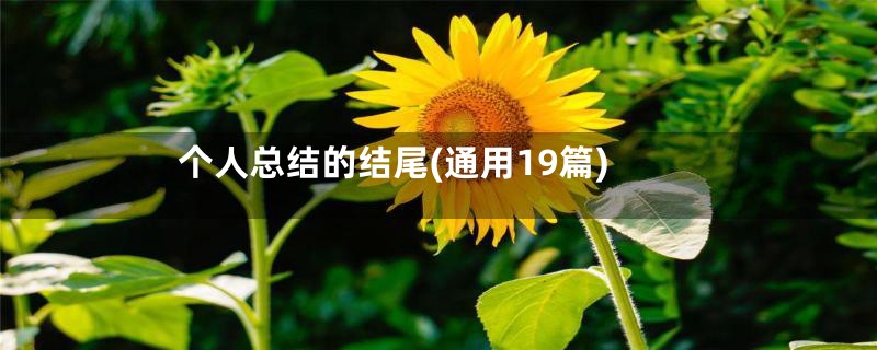 个人总结的结尾(通用19篇)