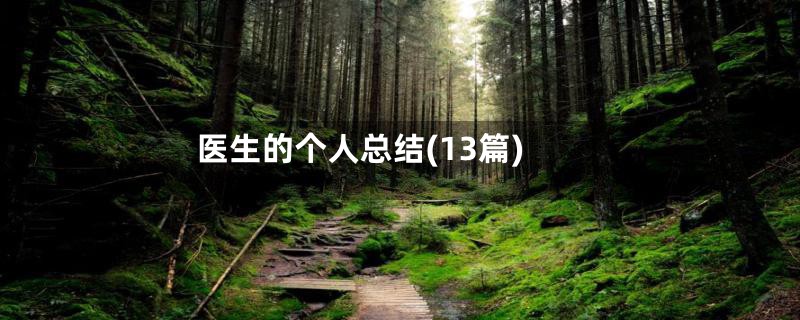 医生的个人总结(13篇)