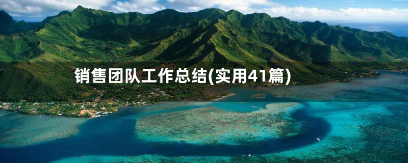 销售团队工作总结(实用41篇)