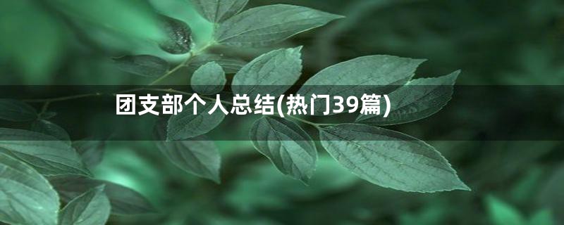 团支部个人总结(热门39篇)