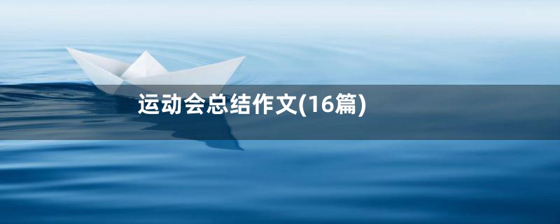 运动会总结作文(16篇)