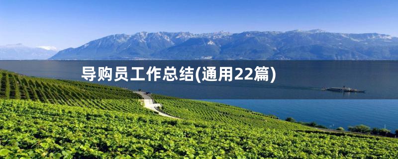 导购员工作总结(通用22篇)