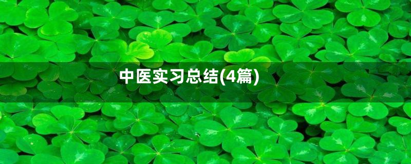 中医实习总结(4篇)