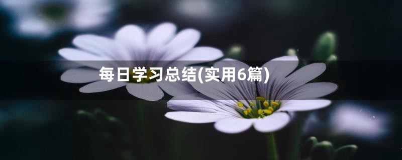 每日学习总结(实用6篇)