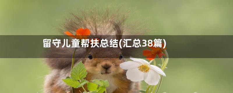 留守儿童帮扶总结(汇总38篇)
