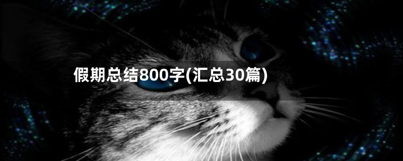 假期总结800字(汇总30篇)