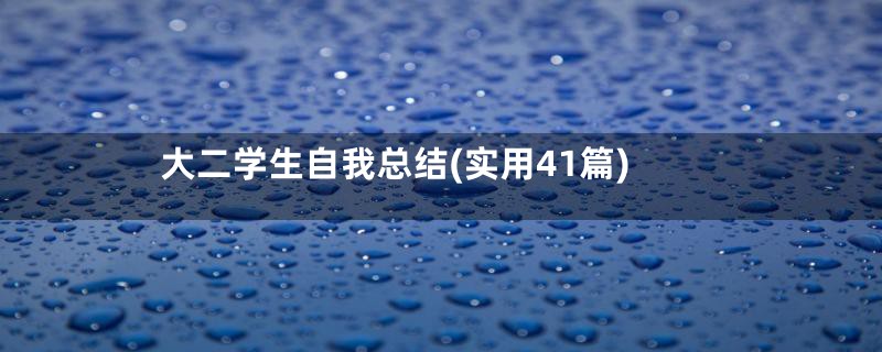 大二学生自我总结(实用41篇)