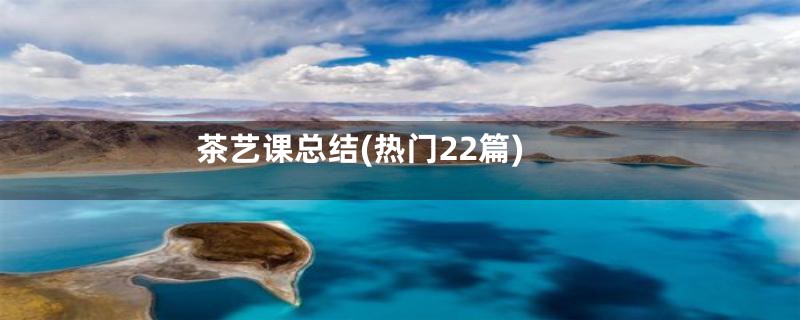 茶艺课总结(热门22篇)