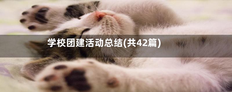 学校团建活动总结(共42篇)