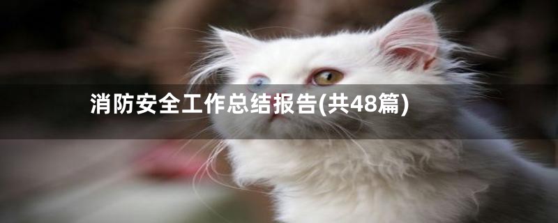 消防安全工作总结报告(共48篇)