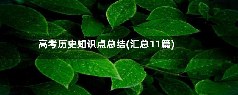 高考历史知识点总结(汇总11篇)