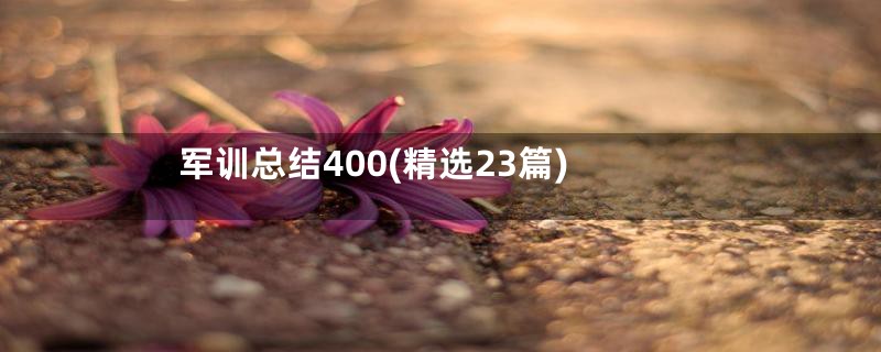 军训总结400(精选23篇)