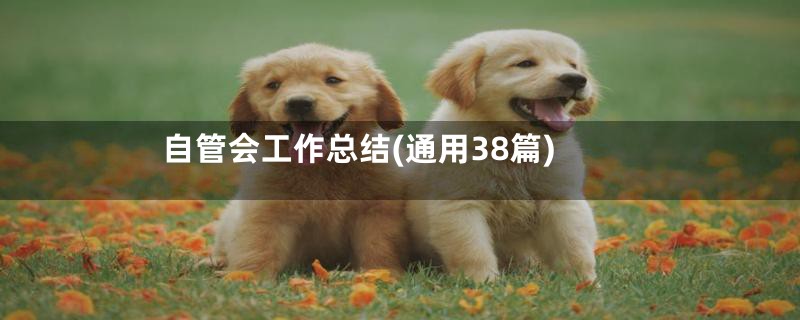 自管会工作总结(通用38篇)