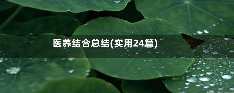 医养结合总结(实用24篇)