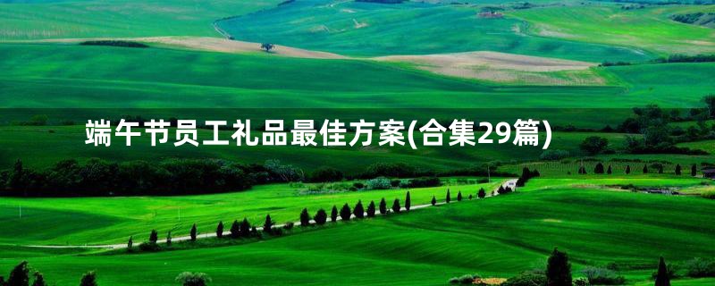 端午节员工礼品最佳方案(合集29篇)