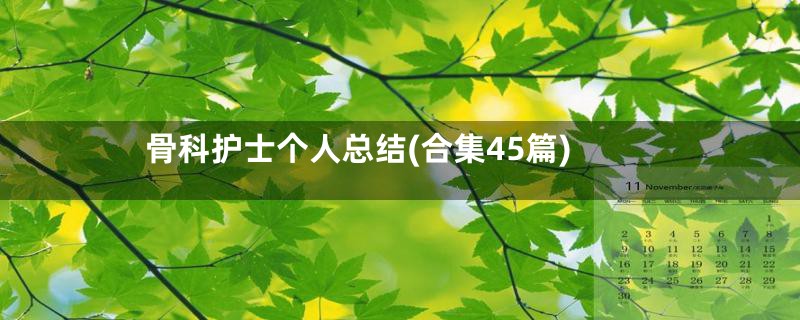 骨科护士个人总结(合集45篇)