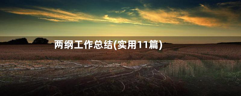 两纲工作总结(实用11篇)
