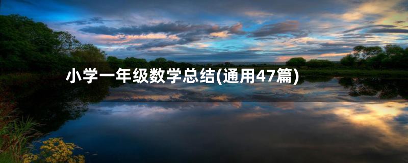 小学一年级数学总结(通用47篇)