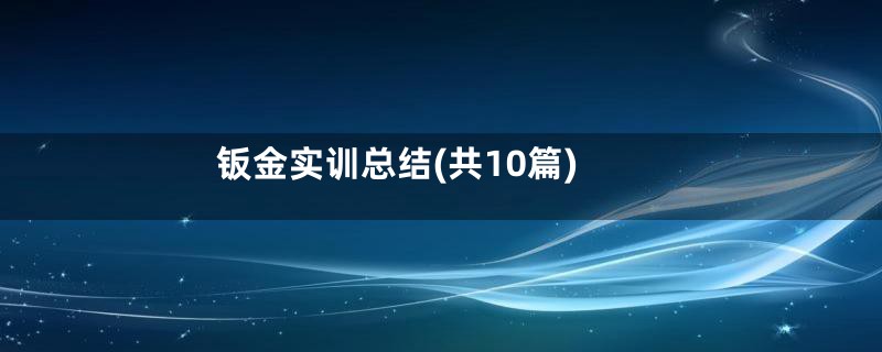 钣金实训总结(共10篇)
