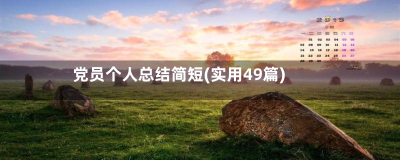 党员个人总结简短(实用49篇)