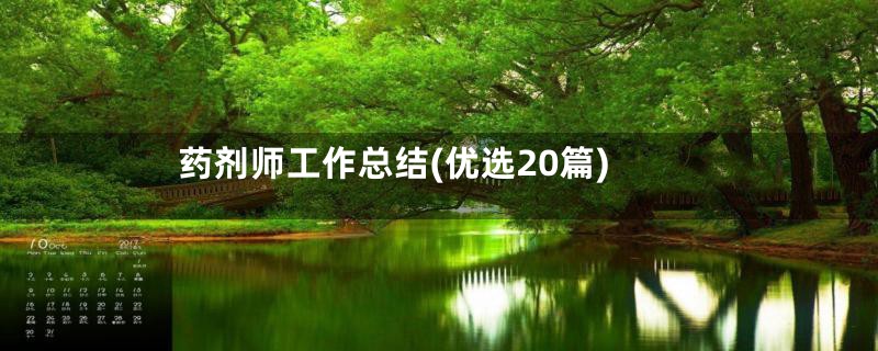 药剂师工作总结(优选20篇)