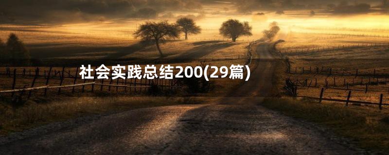 社会实践总结200(29篇)