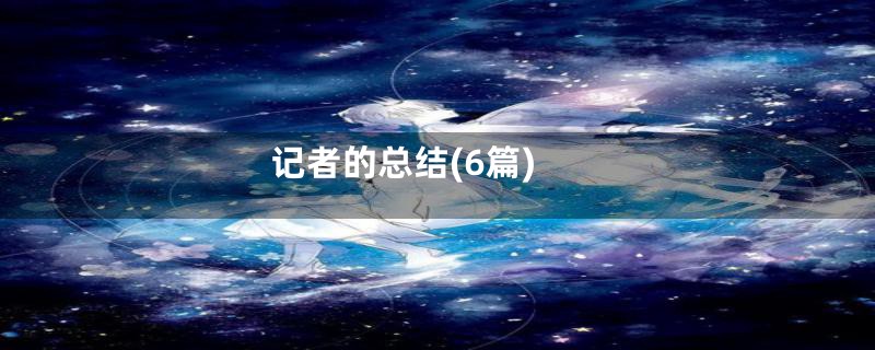 记者的总结(6篇)
