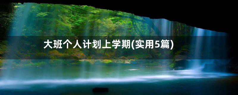 大班个人计划上学期(实用5篇)