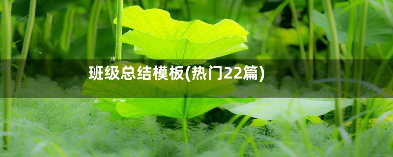 班级总结模板(热门22篇)