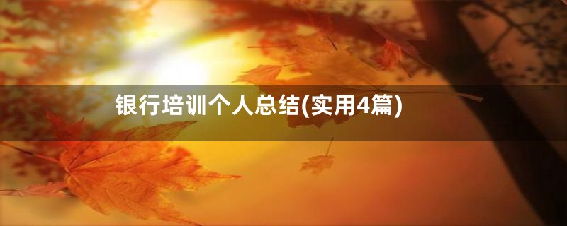 银行培训个人总结(实用4篇)
