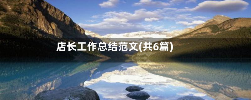 店长工作总结范文(共6篇)