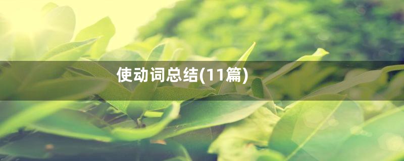 使动词总结(11篇)