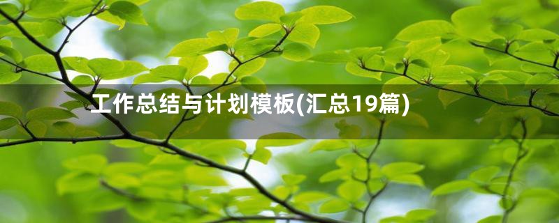 工作总结与计划模板(汇总19篇)