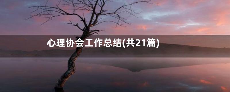 心理协会工作总结(共21篇)