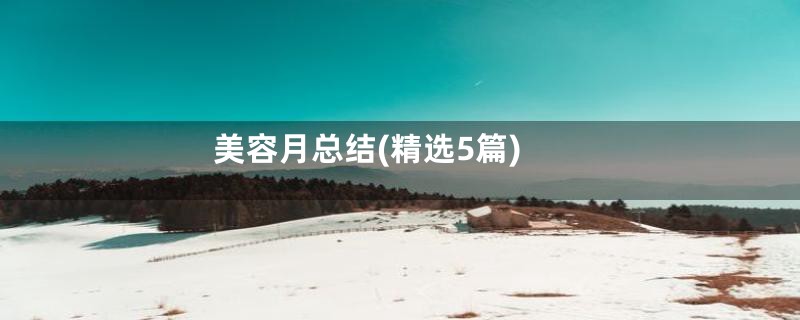 美容月总结(精选5篇)