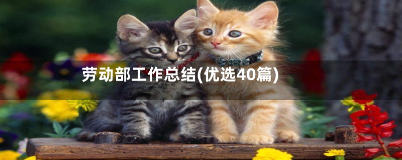 劳动部工作总结(优选40篇)