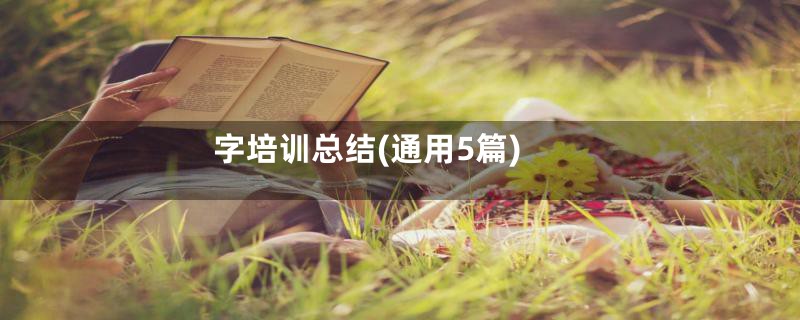 字培训总结(通用5篇)