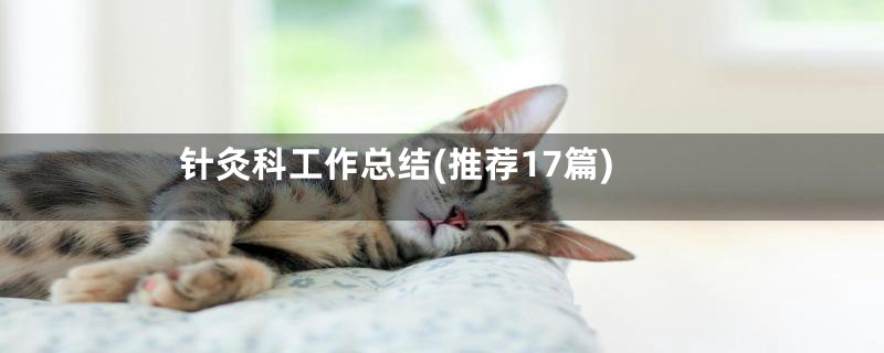 针灸科工作总结(推荐17篇)