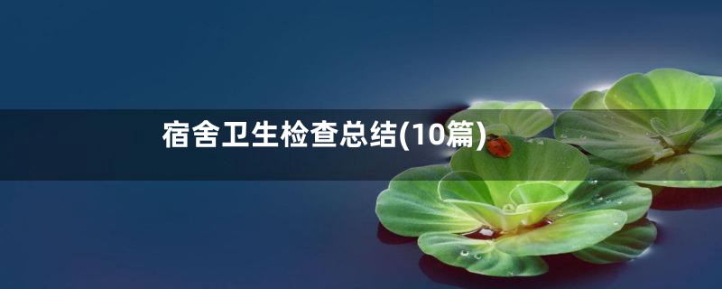 宿舍卫生检查总结(10篇)