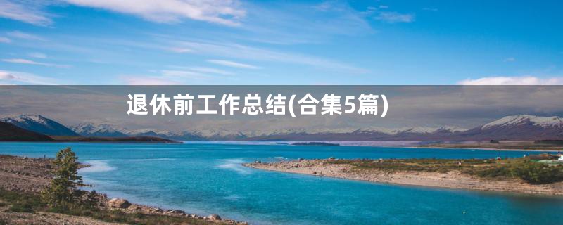 退休前工作总结(合集5篇)