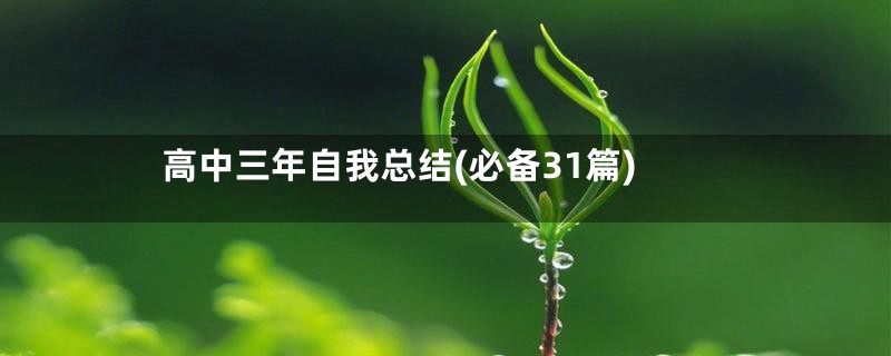 高中三年自我总结(必备31篇)