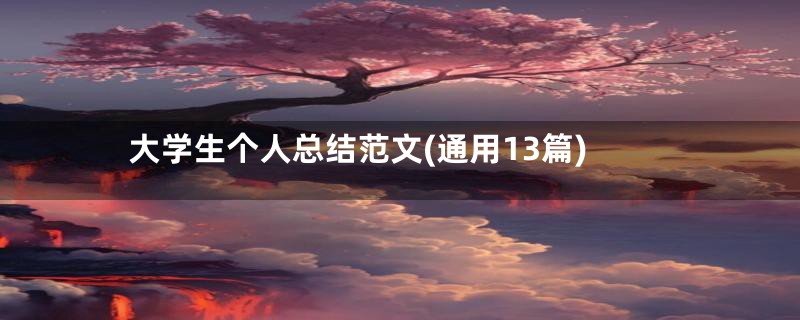 大学生个人总结范文(通用13篇)