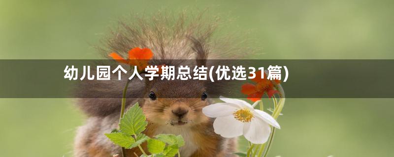 幼儿园个人学期总结(优选31篇)