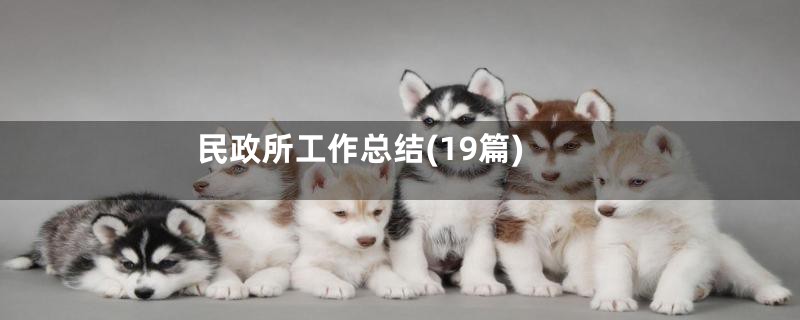 民政所工作总结(19篇)