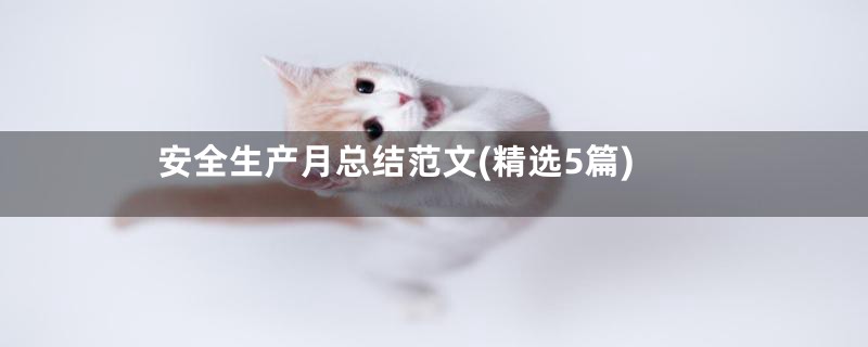 安全生产月总结范文(精选5篇)