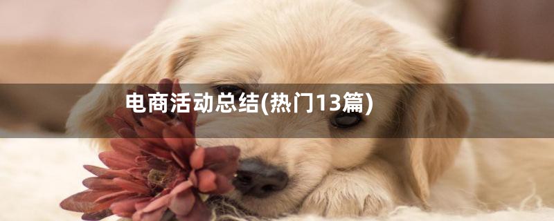 电商活动总结(热门13篇)