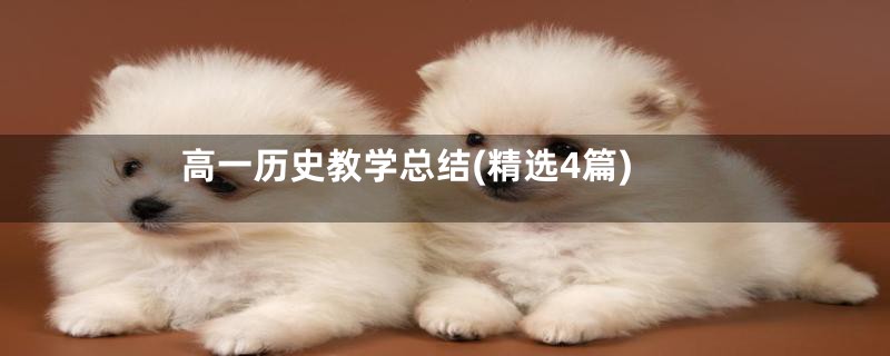 高一历史教学总结(精选4篇)