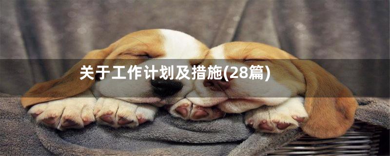 关于工作计划及措施(28篇)