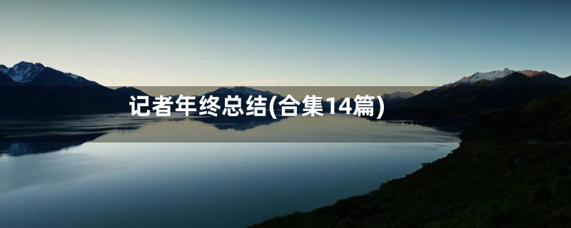 记者年终总结(合集14篇)