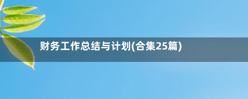 财务工作总结与计划(合集25篇)